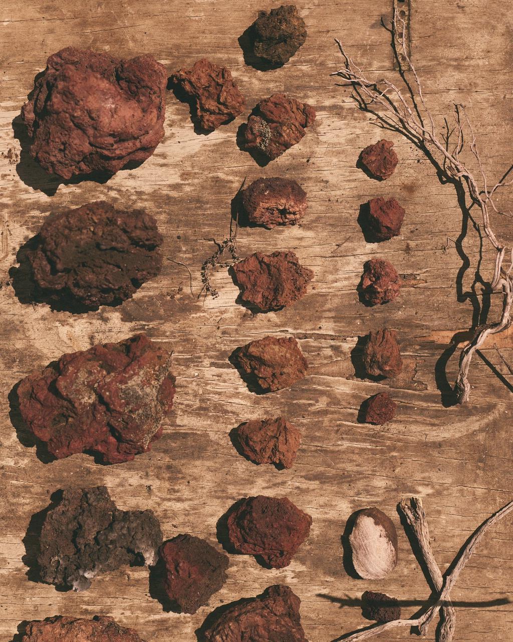 Loro Piana